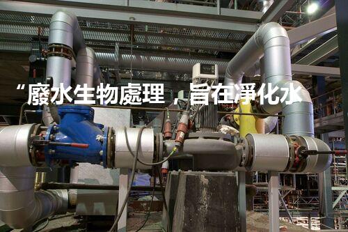 “廢水生物處理，旨在凈化水源，守護碧水藍天”